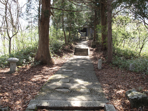 20140419hike (109)